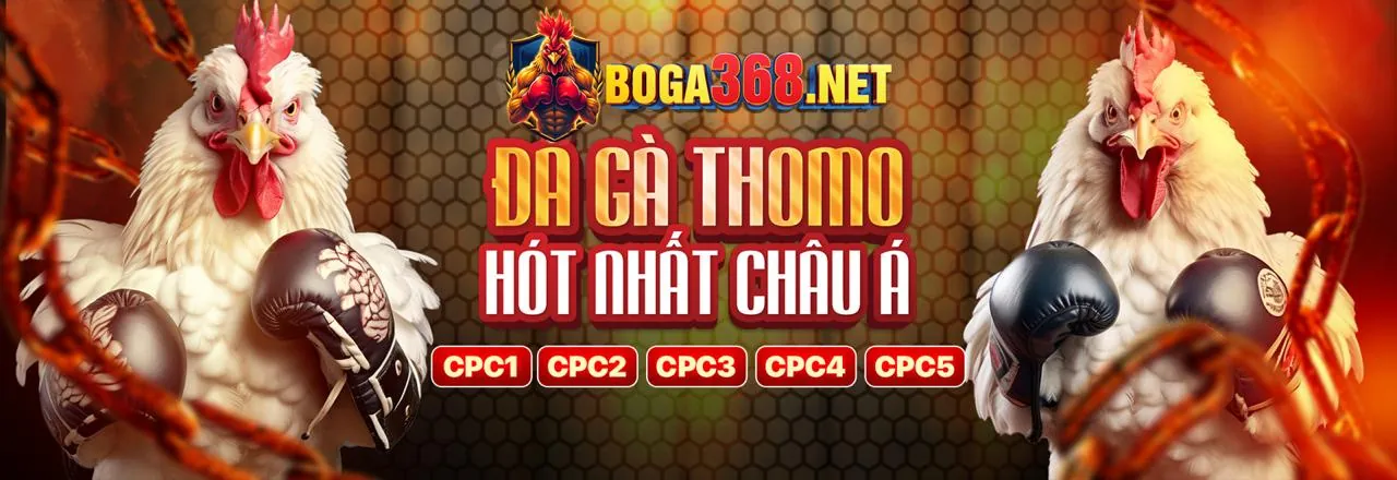 Sảnh Đá Gà Trực Tuyến Game Onbet